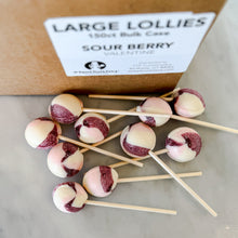 Load image into Gallery viewer, Large Lollies™ - 144ct Bulk Case