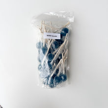 Load image into Gallery viewer, Large Lollies: Berry Blues Lollipop Candy