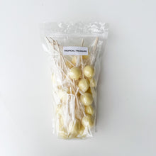 Load image into Gallery viewer, Large Lollies: Tropical Treasure Lollipop Candy
