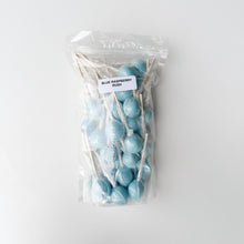 Load image into Gallery viewer, Large Lollies: Blue Raspberry Rush Lollipop Candy
