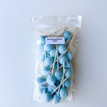 Load image into Gallery viewer, Large Lollies: Blue Raspberry Rush Lollipop Candy
