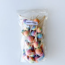 Load image into Gallery viewer, Large Lollies: Rainbow Sherbet Lollipop Candy
