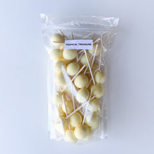 Load image into Gallery viewer, Large Lollies: Tropical Treasure Lollipop Candy
