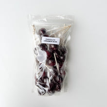 Load image into Gallery viewer, Large Lollies: Chocolate Cinnamon Bear Lollipop Candy
