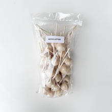 Load image into Gallery viewer, Large Lollies: Dutch Letter Lollipop Candy
